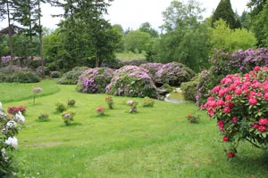 Le Mont Cerisy-Belle-Etoile mont-cerisy-belle-etoile